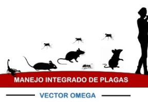 vector omega
